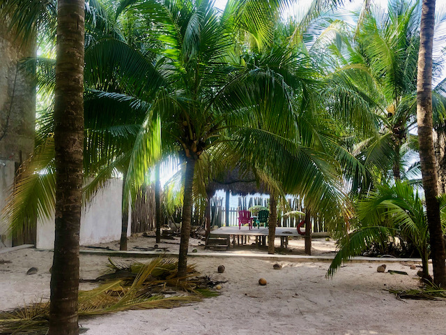 Yucatán Beach Yard with Palapa