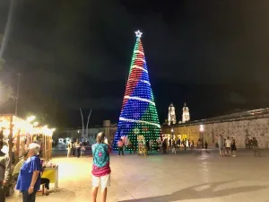 Campeche Christmas tree with Chris
