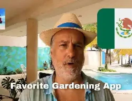 Favorite Gardening App For Beginners