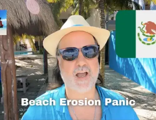 Emergency Beach Erosion Panic Solutions