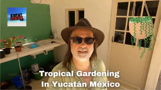 Embracing the Tropics: Gardening Tips and Tricks in Yucatán, México