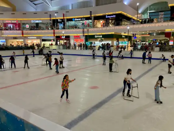 Mall Ice Skating